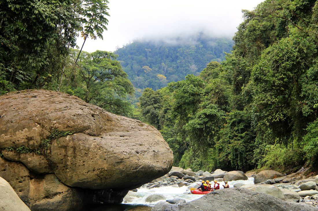 Rainforest and boulders above the Chorro section of the Naranjo