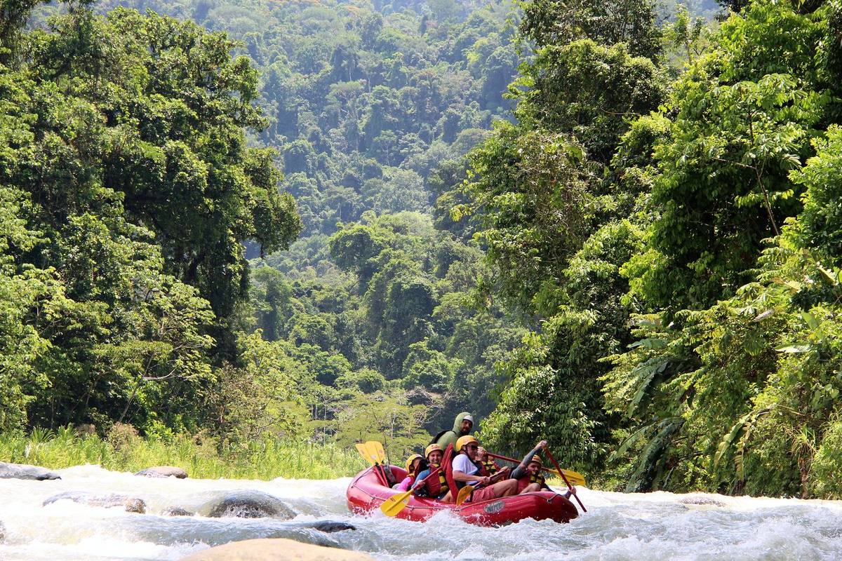 The Savegre river running through the rainforest