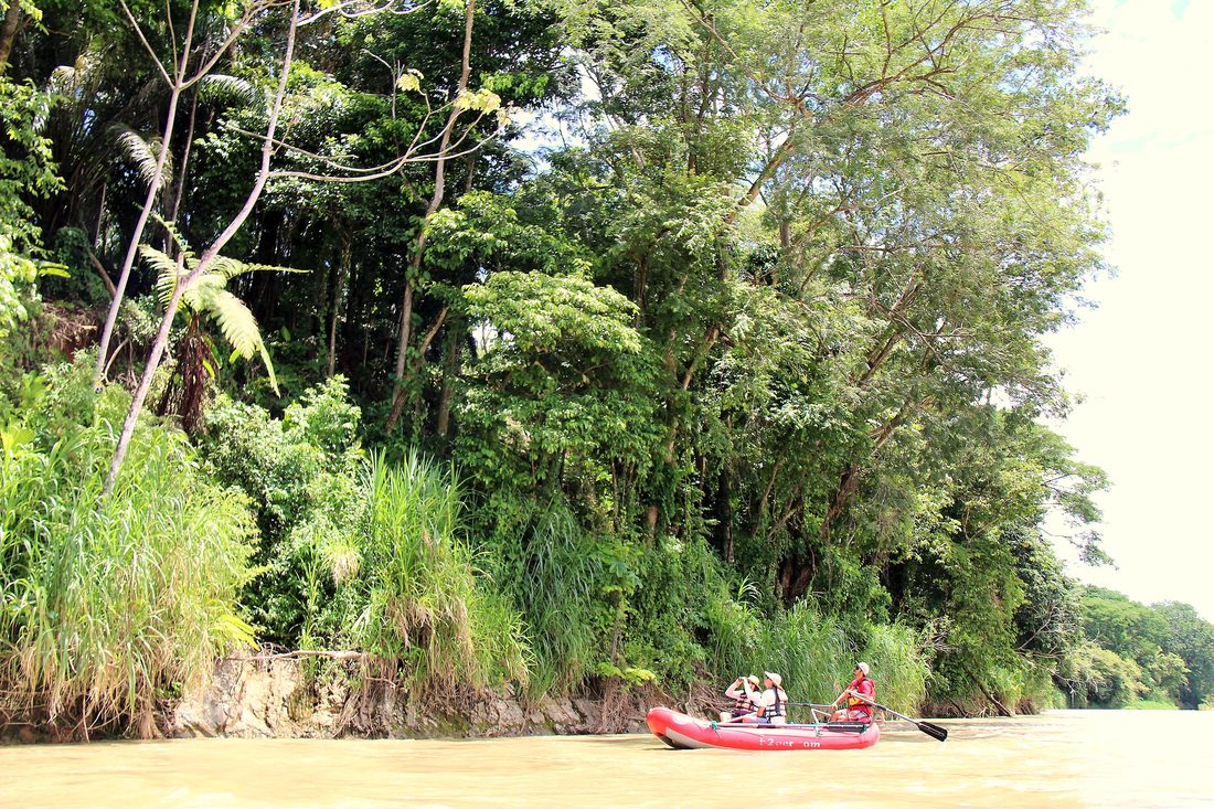 A raft drifting past the jungle on the Savegre