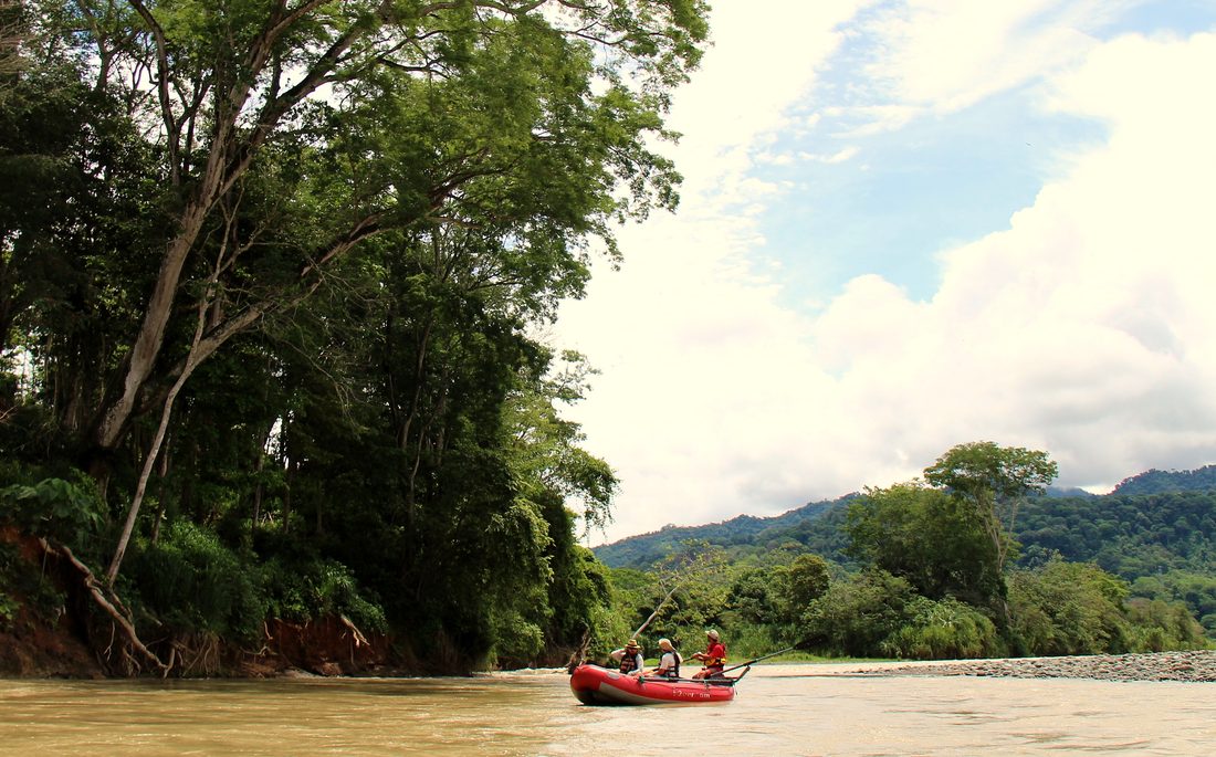 A raft far down the wide, calm Savegre under the trees